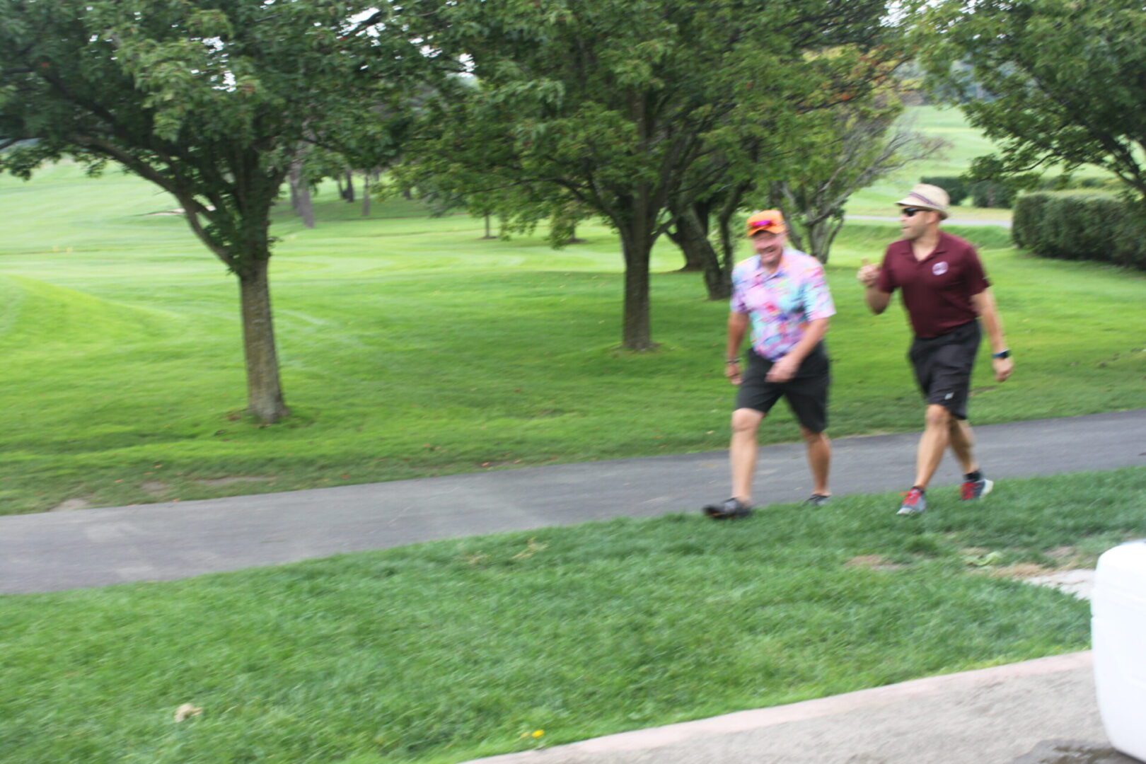 Two men walking down a path in a park.