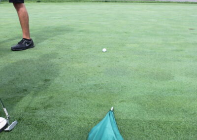 A man is putting a golf ball on a green.