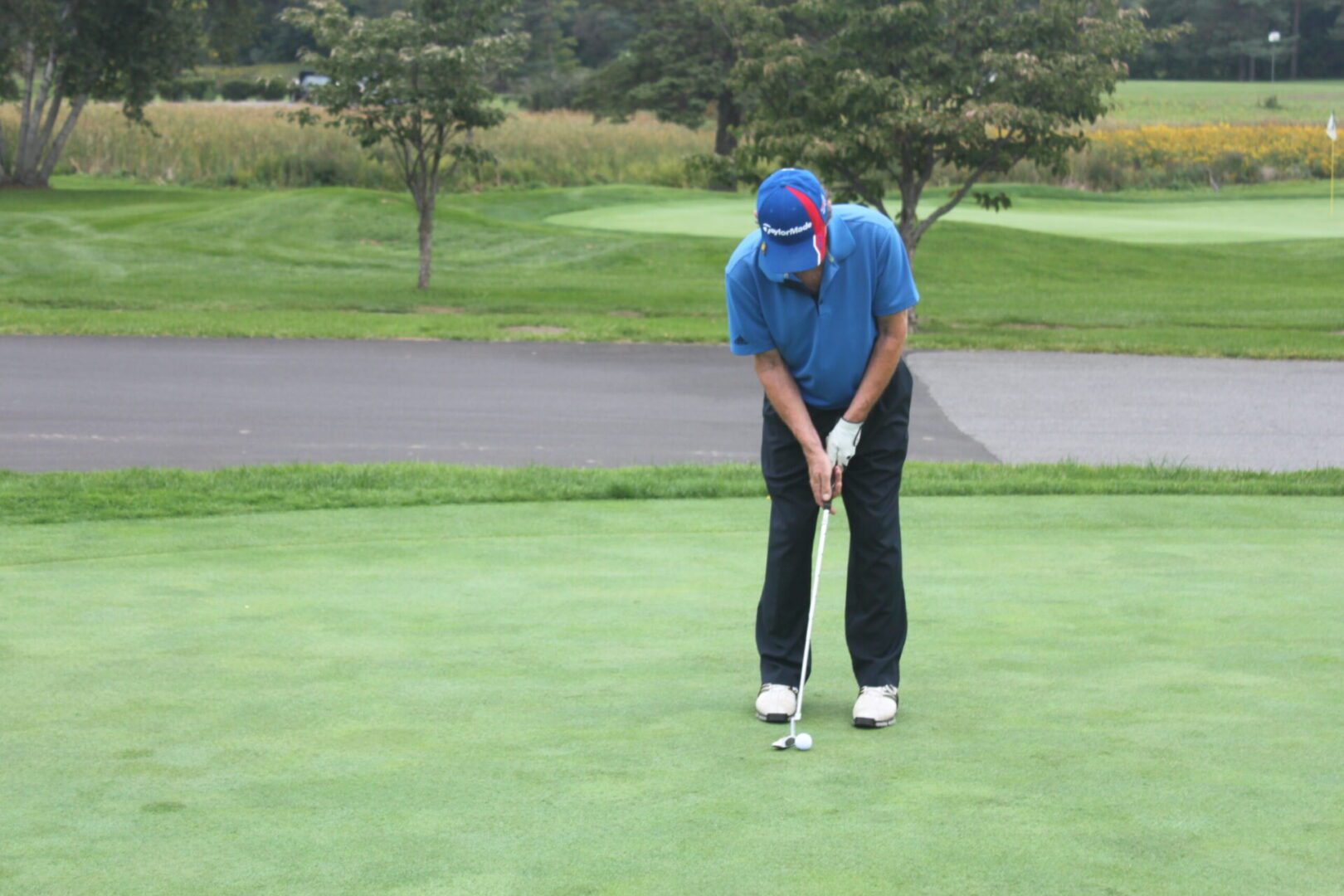 A man in a blue shirt is putting a golf ball on a green.
